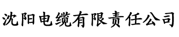 九九影视影院电缆厂logo